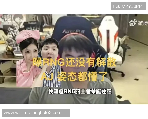 2026电竞新闻和平精英中RNG战队灵活性引发热议玩家观点各异引人关注